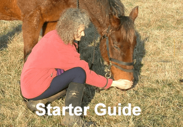 Equine Breathing Starter Guide