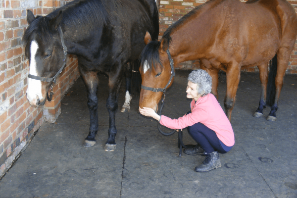 Help your horse heal with these instructions for Equine Breathing 1N